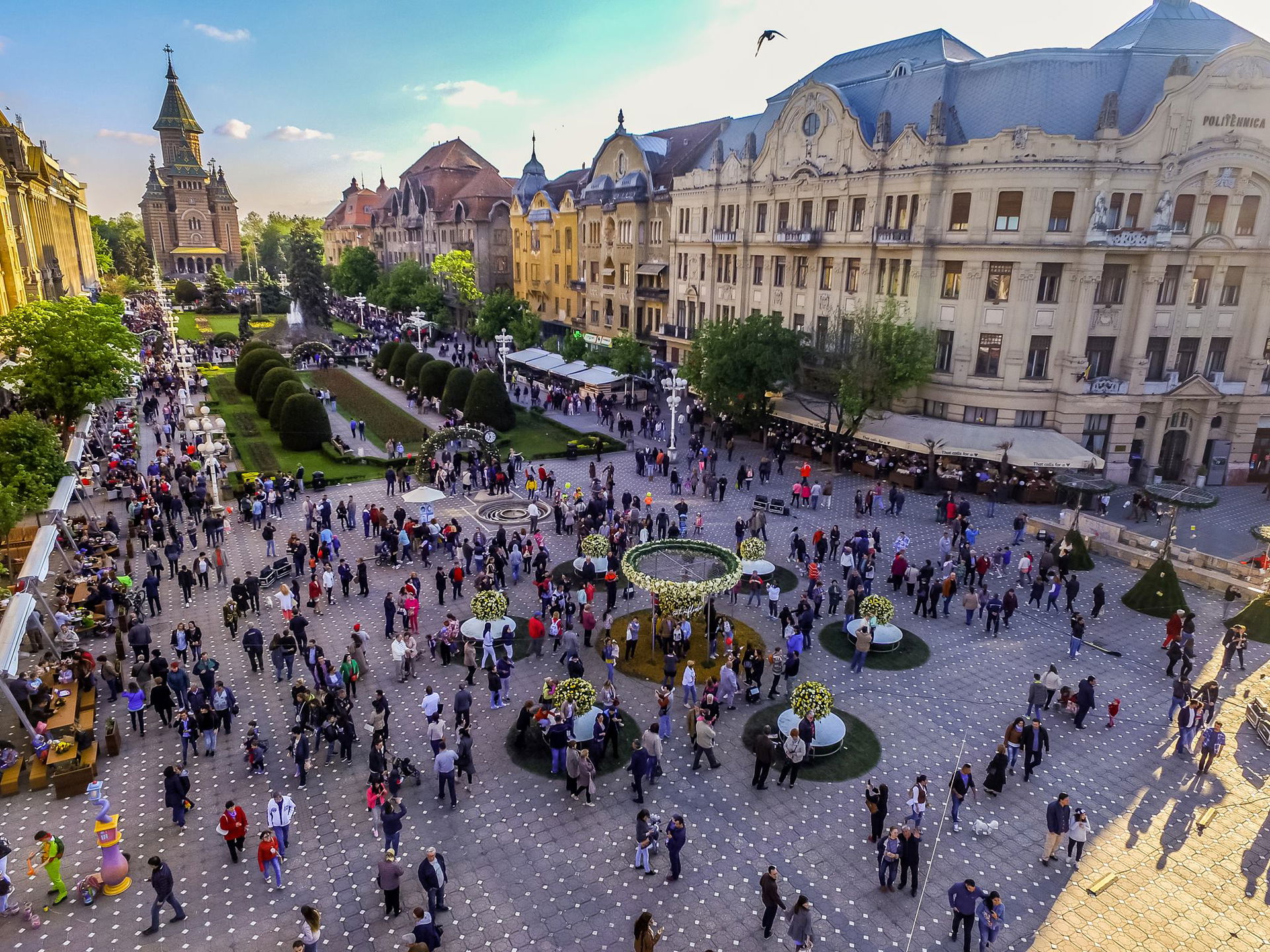 Piata Victoriei in vremea festivalului florilor TimFloralis