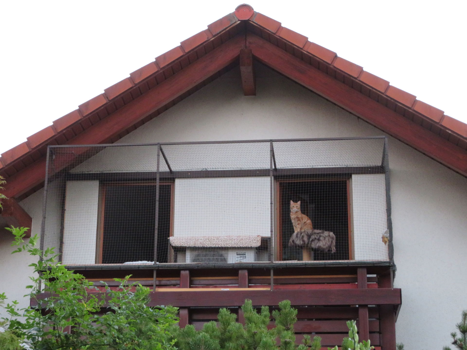 Katzengehege auf einem Balkon, von dem aus die Katze ihre Umgeb…
