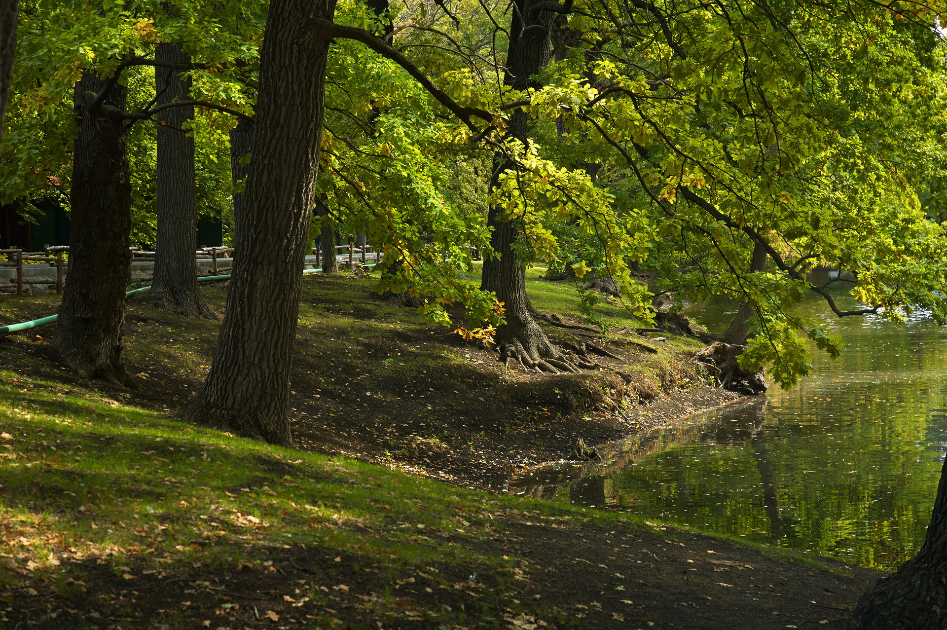 Saratov City Park.