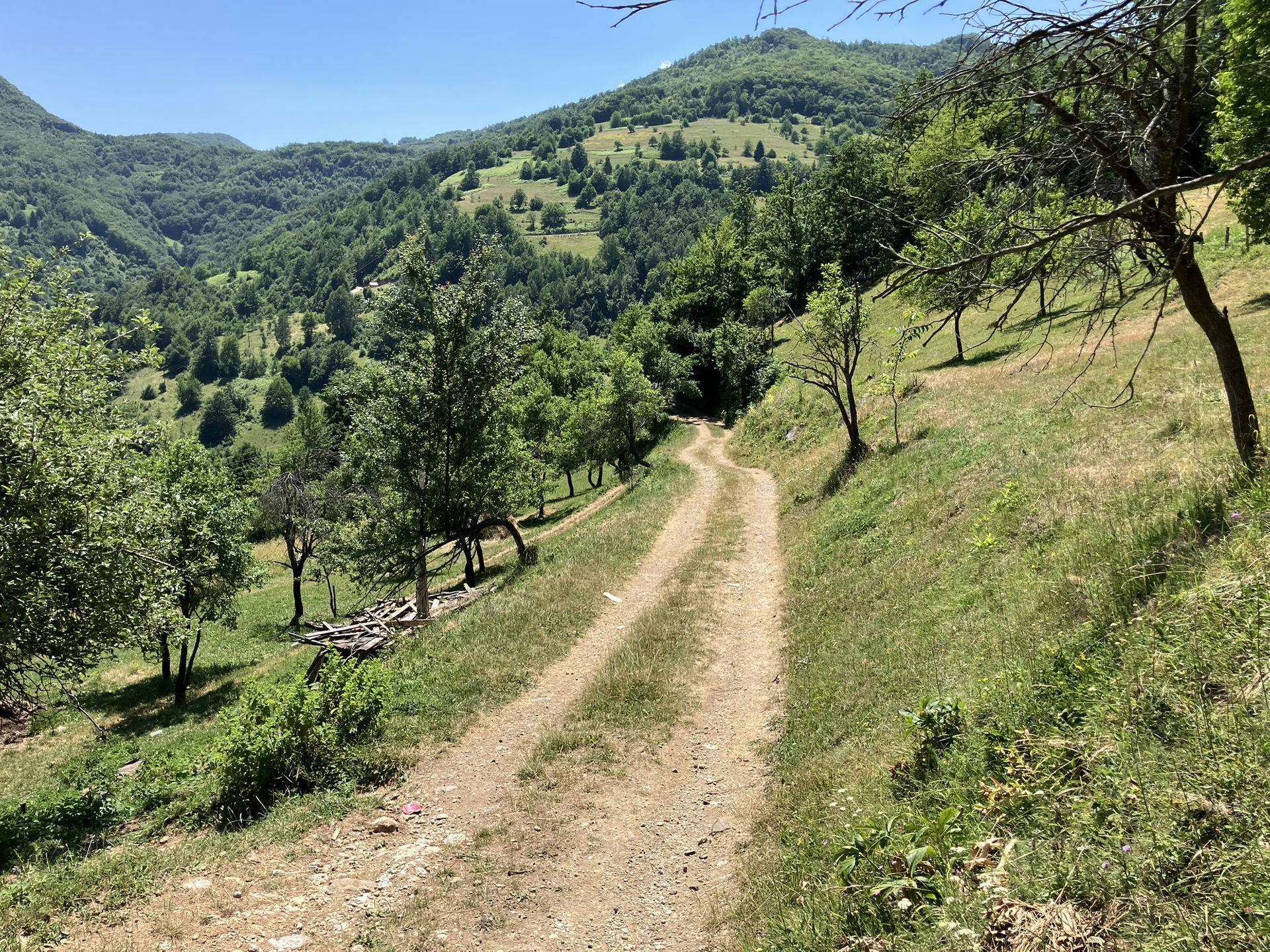 Berane - Donje Zaostro Montenegro Landschap