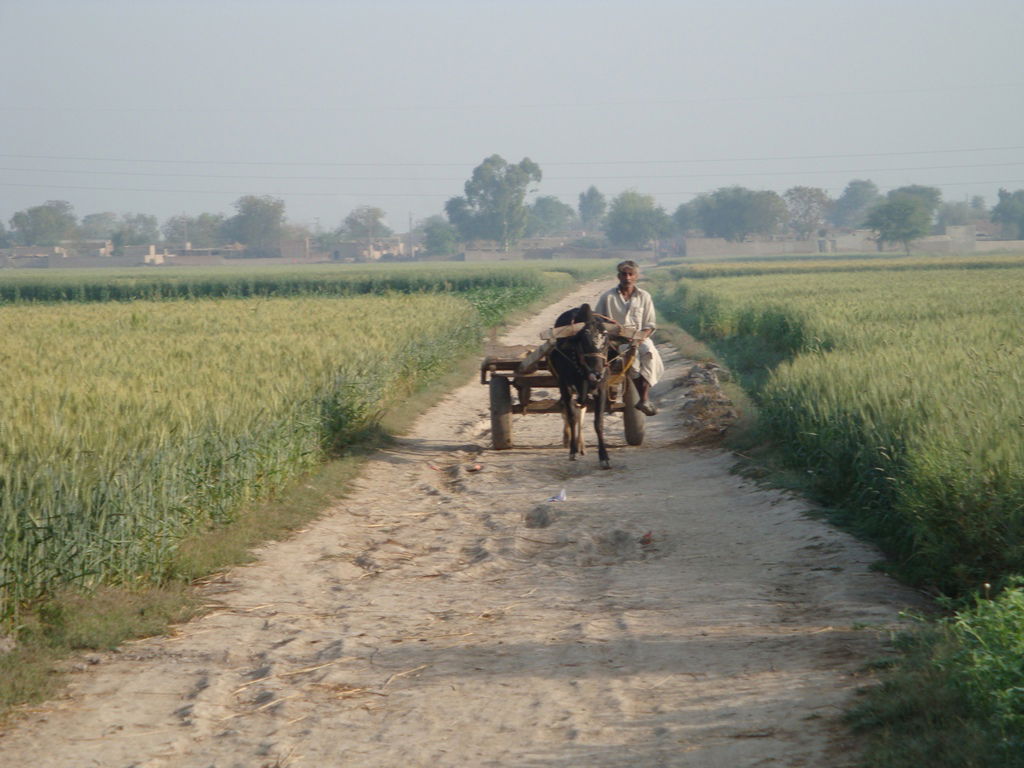 Arifwala Tehsil, Pakistan
