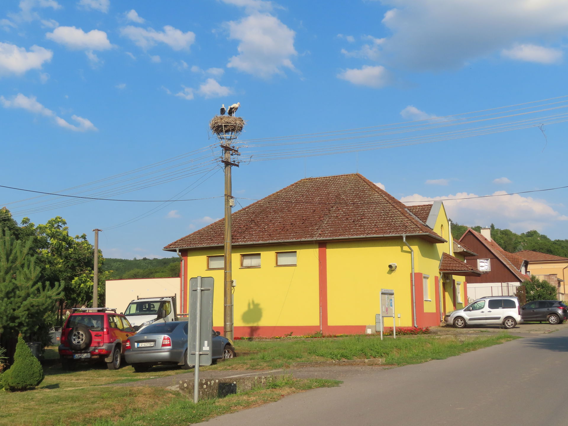 Gyűgy gólyafészek 2024