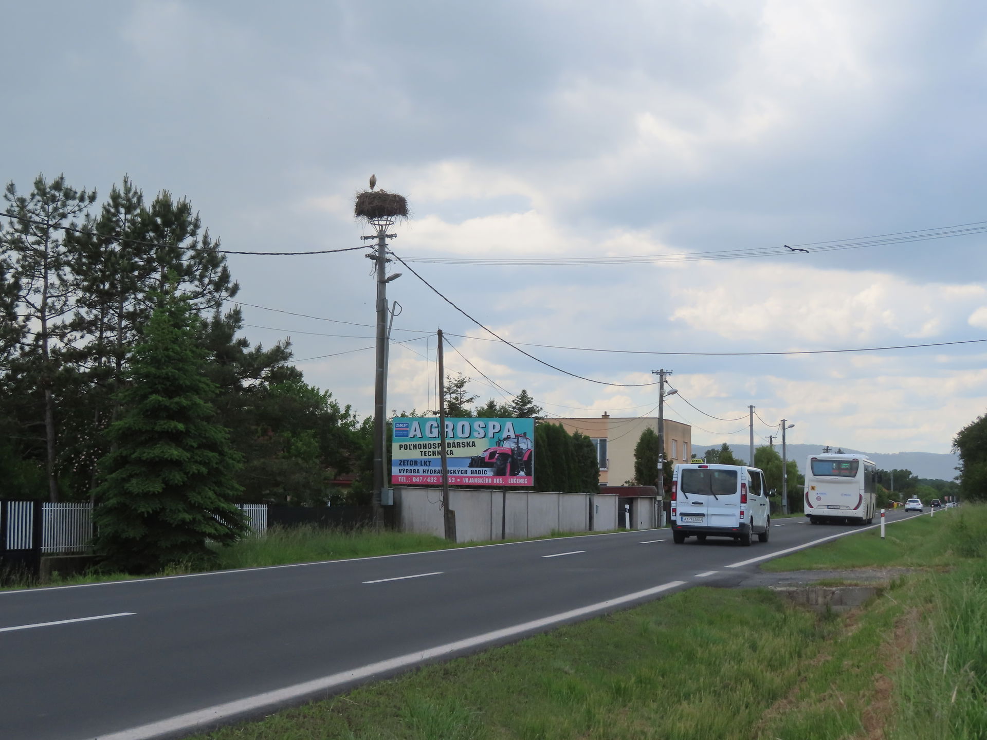 gólyafészek Losonc Ladova puszta 2025