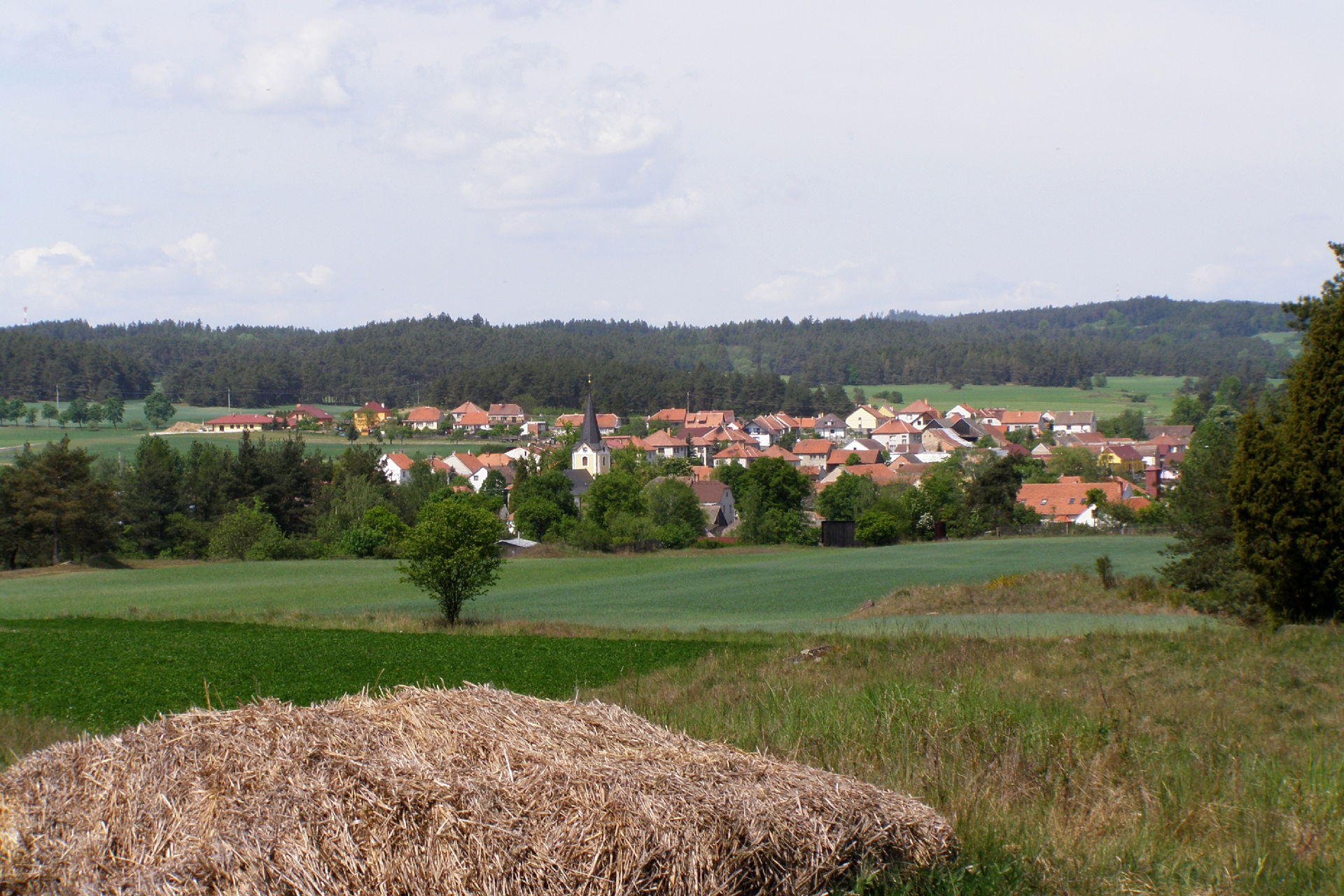 Trnava near Třebíč. Global view