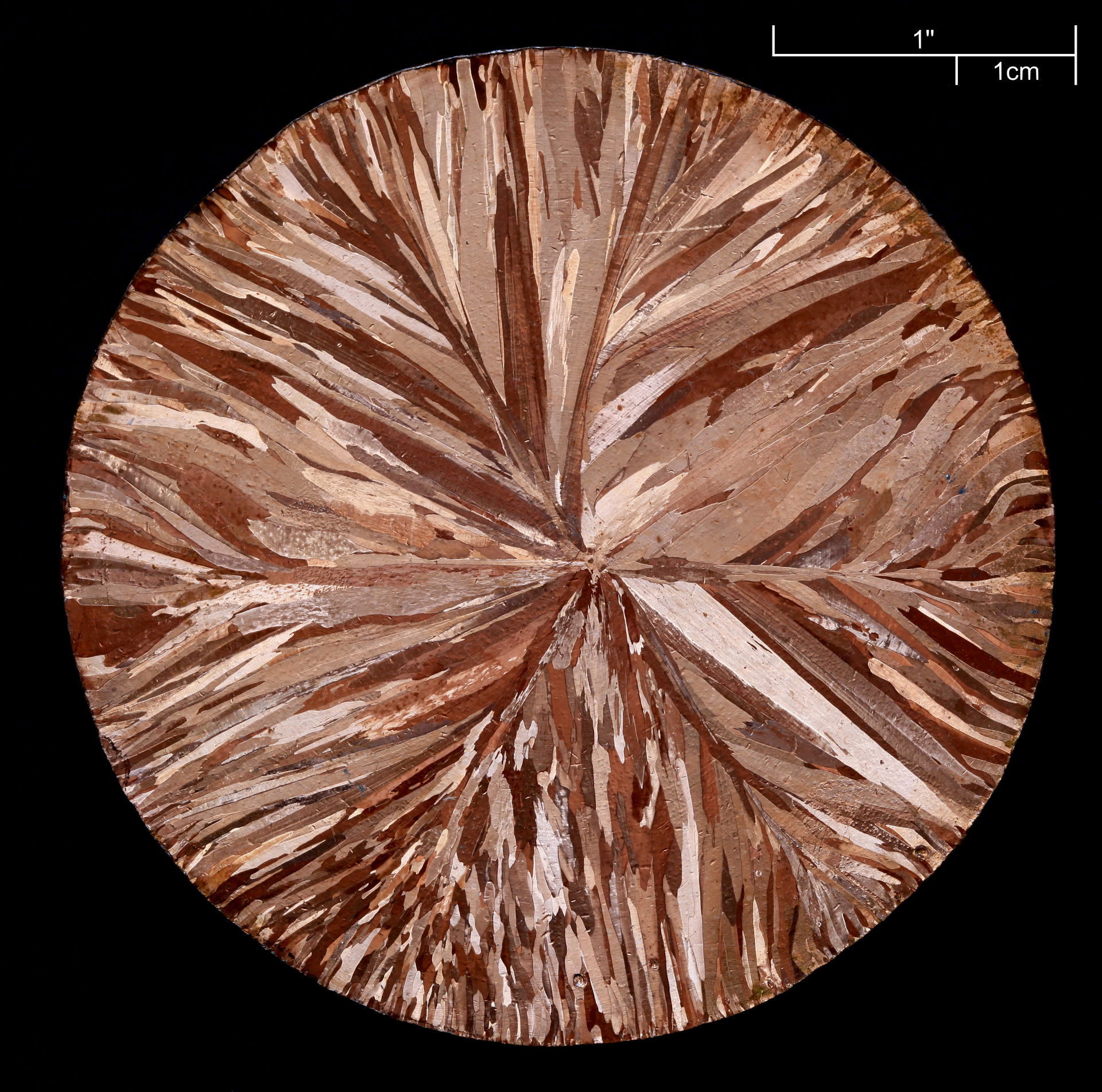Continuous casting copper disc (99.95% pure), macro etched, ∅ ≈…