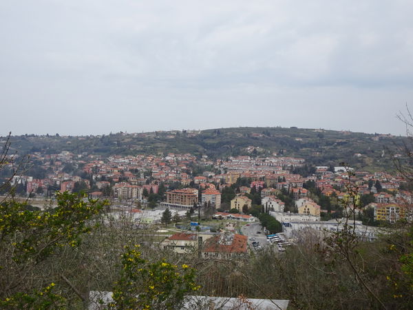 Lucija