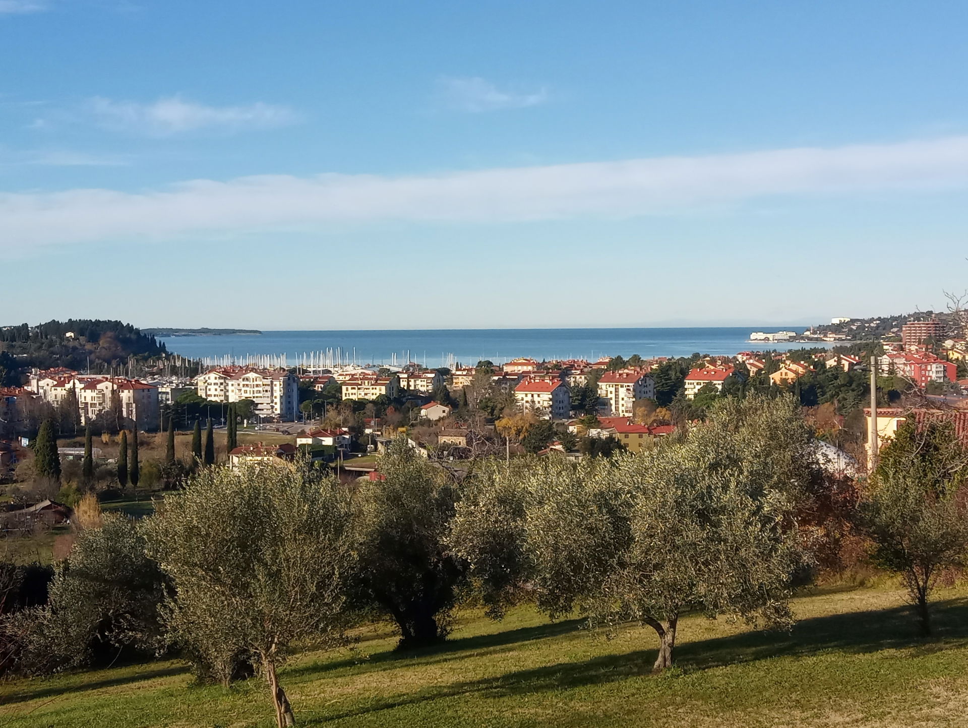 Lucija