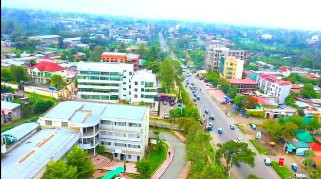 Shashemene (pronounced Sha-she-mene) is a city established in 1…