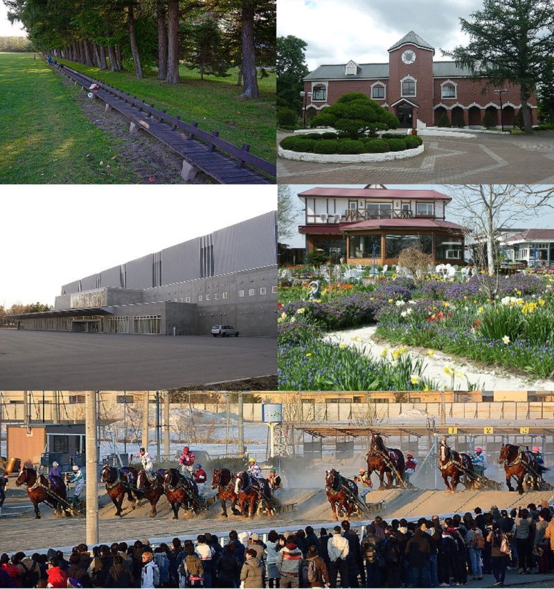 北海道帯広市のモンタージュ画像。