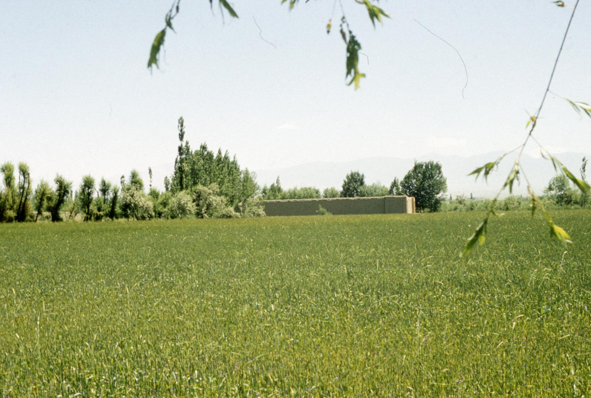 Logar view 4