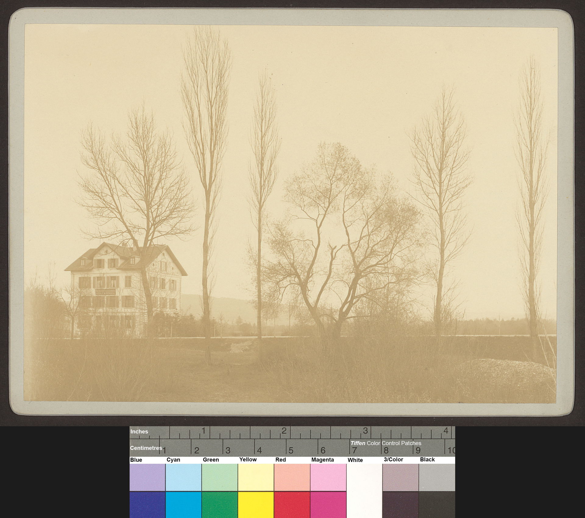 Dietikon. Haus mit Baumgruppe: Hausbeschriftung: "Adolf Ritzman…