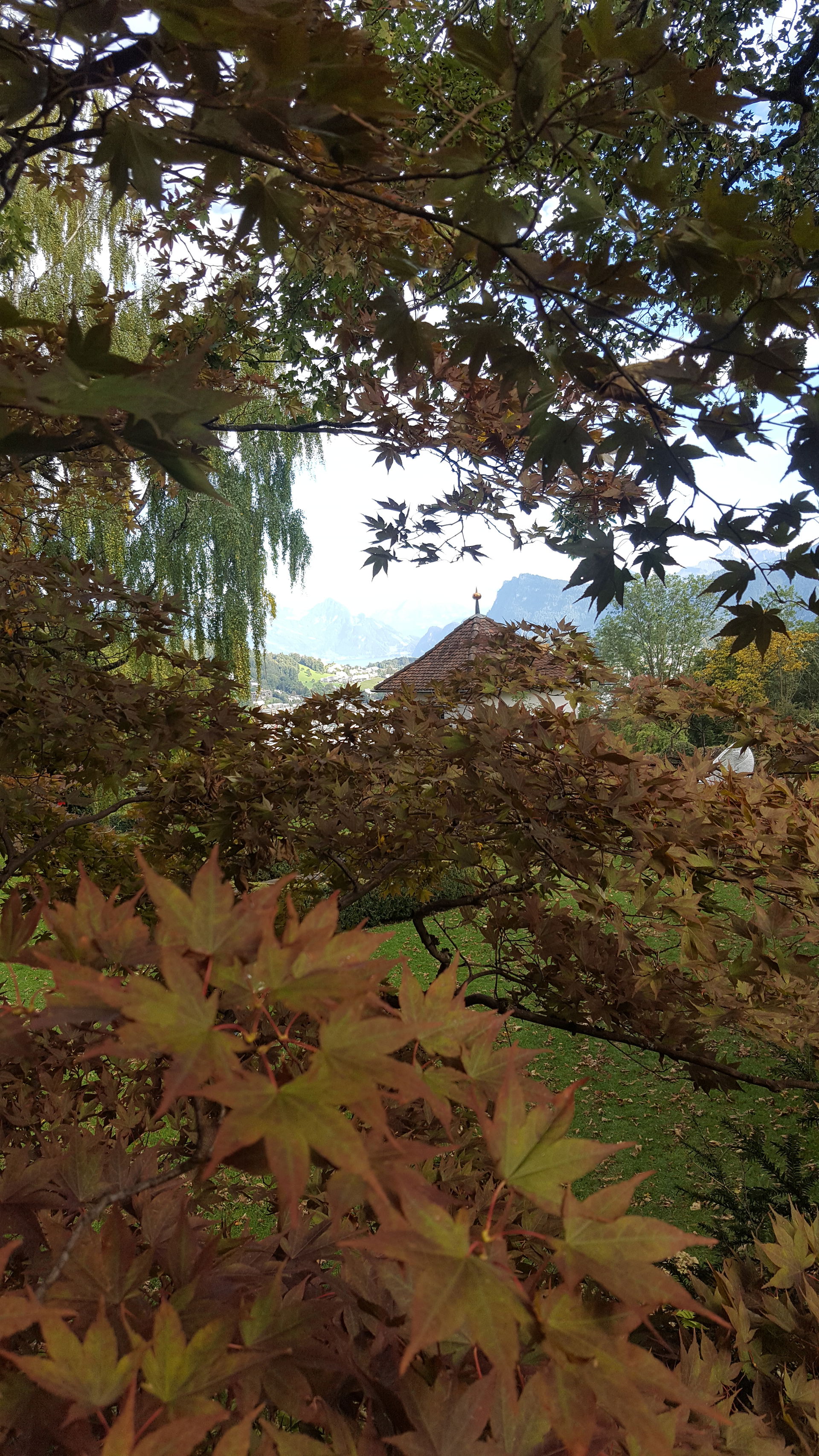 The autumn picture