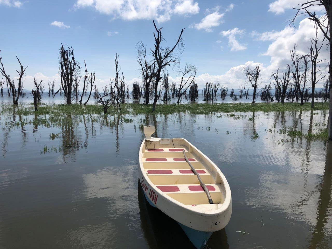 A boat on the beautiful lake Naivasha, Kenya