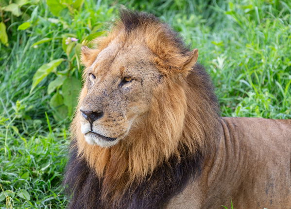 Nakuru