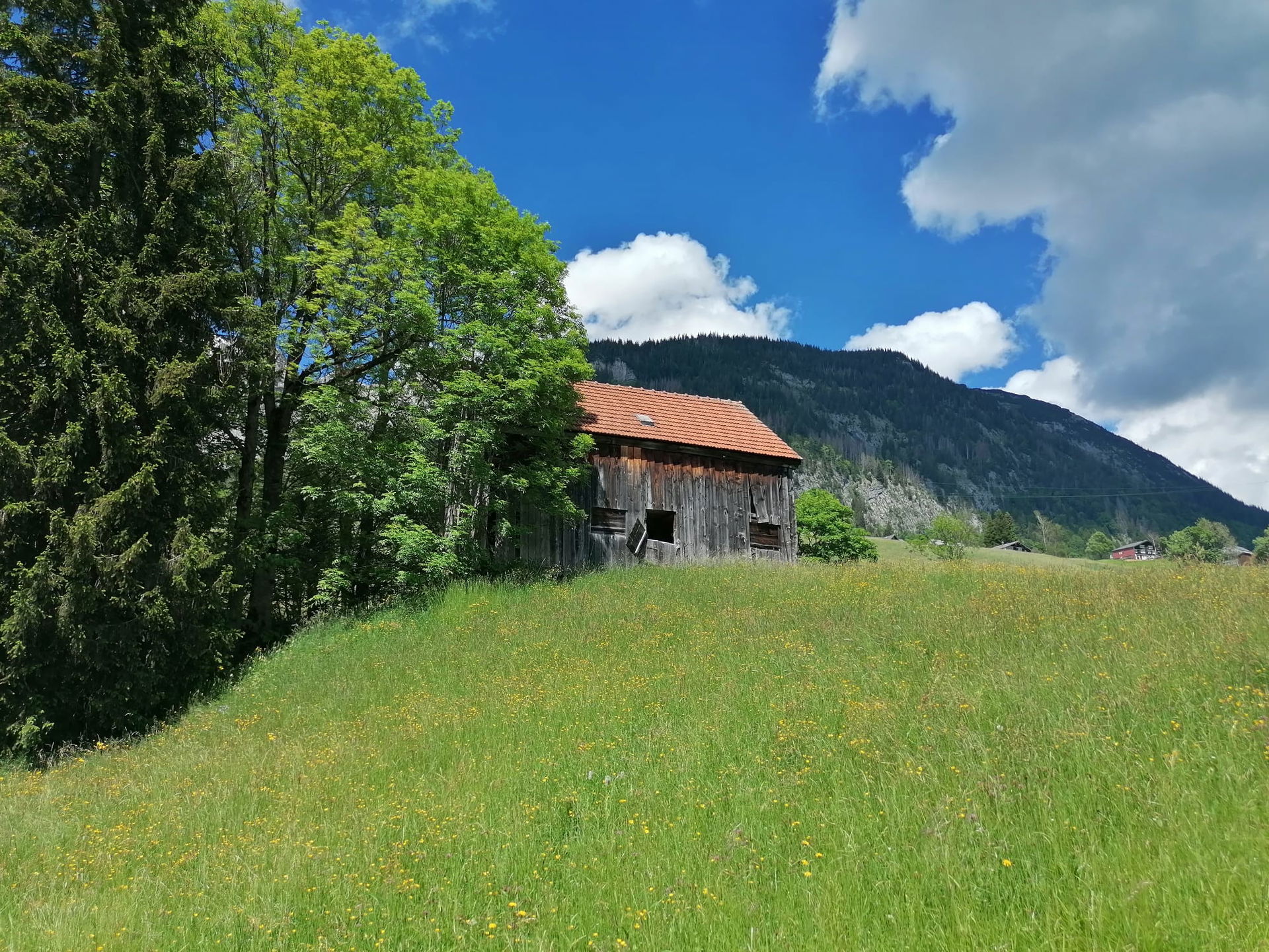 Grossrüti Wildhaus SG, Schweiz