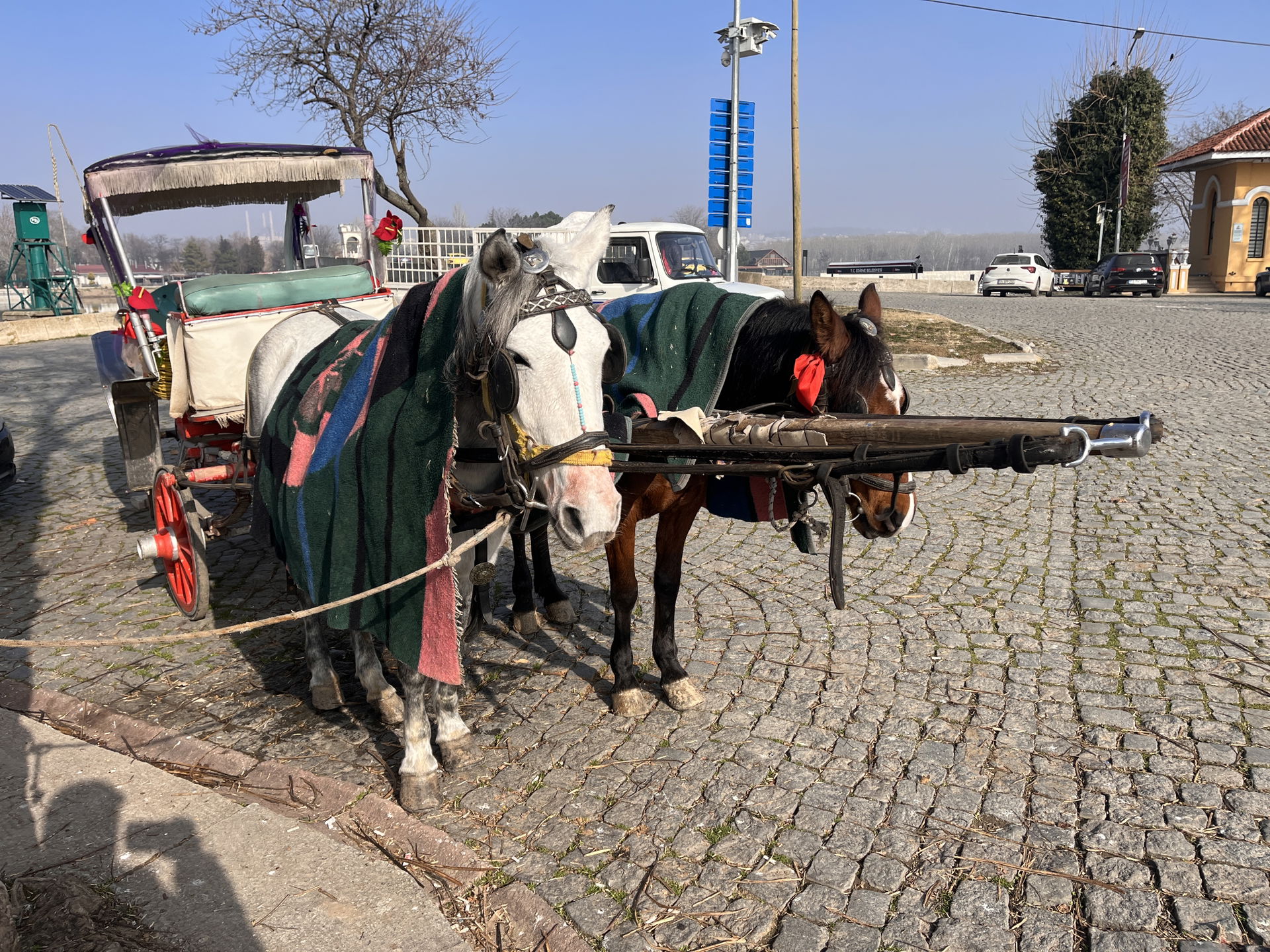 Edirne merkez'de fayton