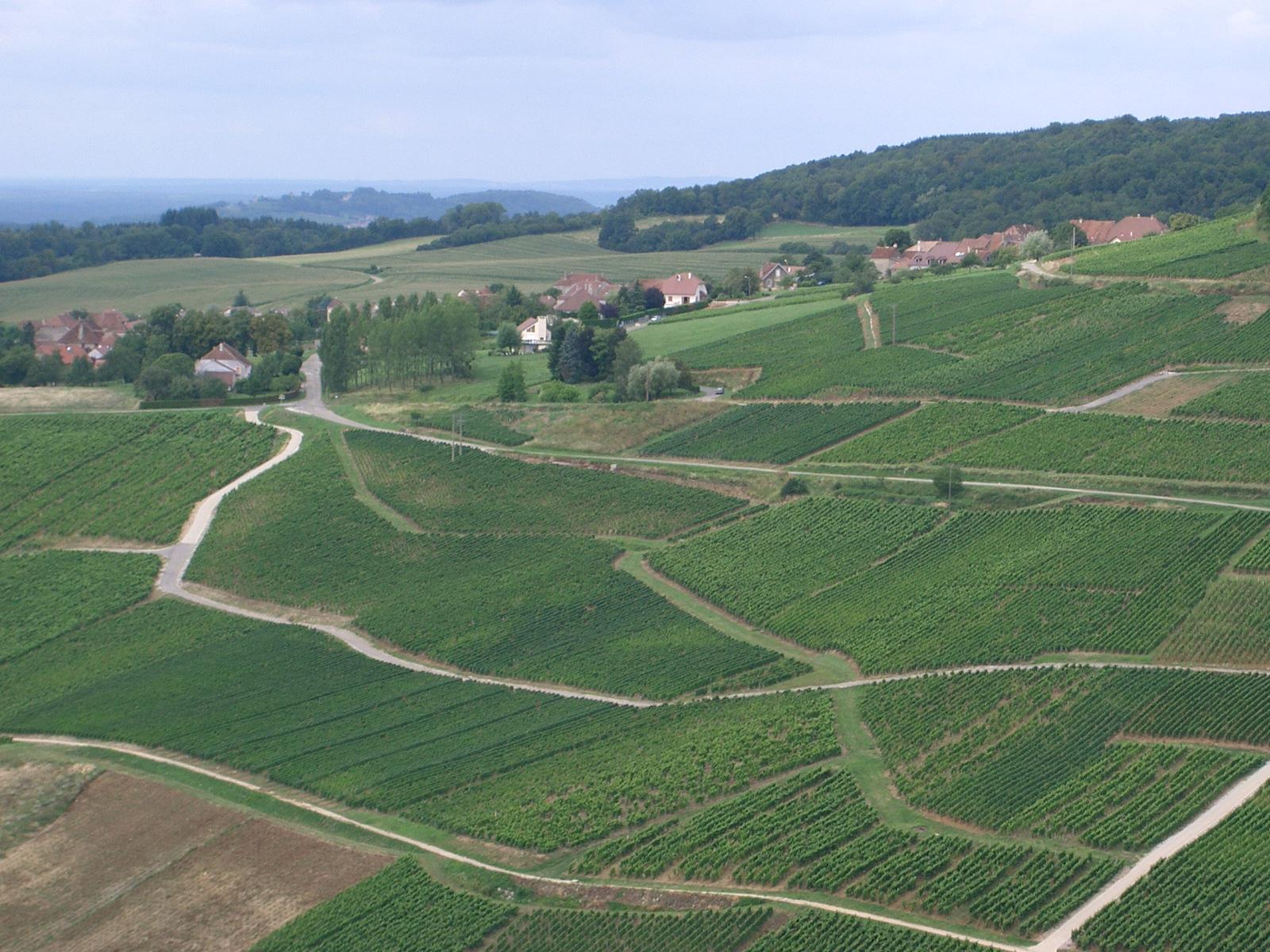 village de Menétru-le-vignoble depuis Château-Chalon dans le dé…