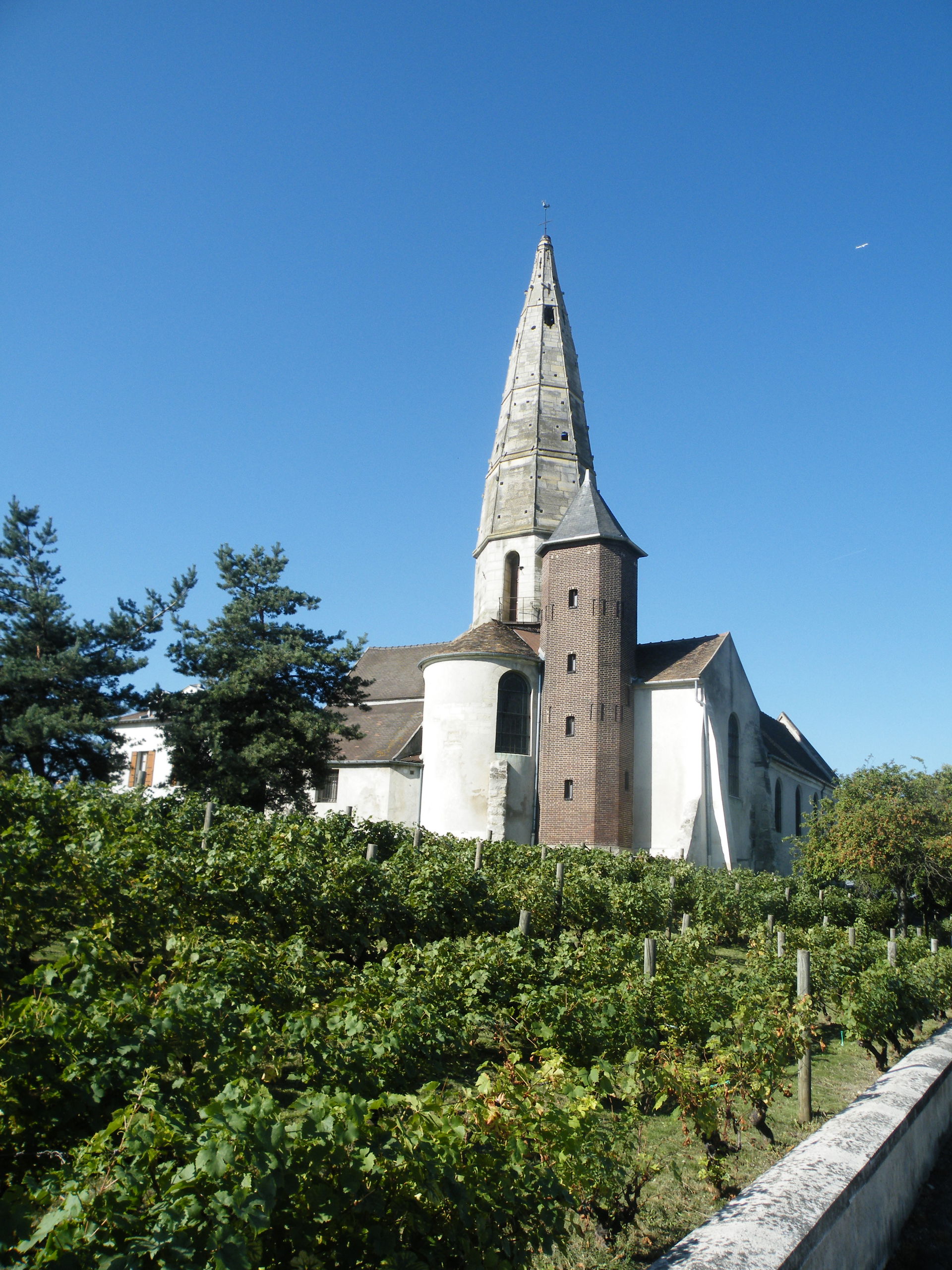 vue sur la face arrière, avec le clocher et les vigne entourant…