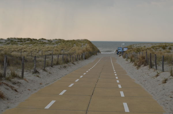 's-Gravenzande
