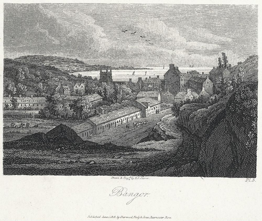 View of Bangor showing houses, the cathedral, and the Menai Str…