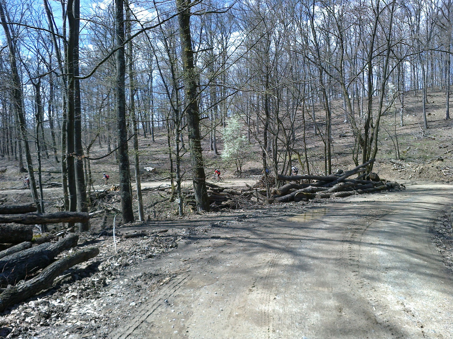 Kutjevo, Croatia