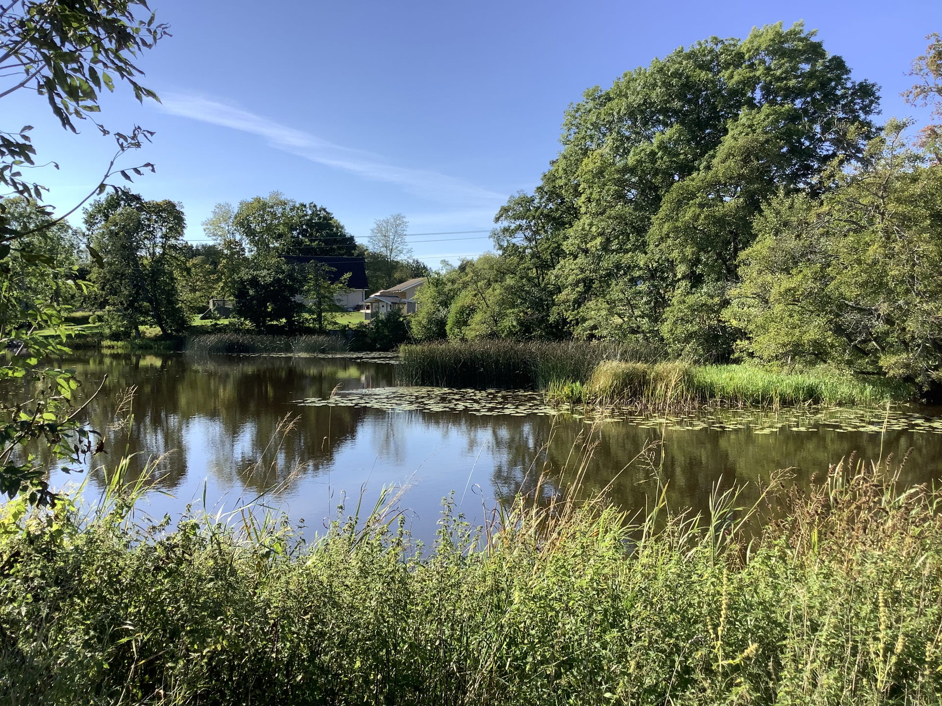 Frändeforsån i dalslandsdelen av Vänersborgs kommun. Ån rinner …