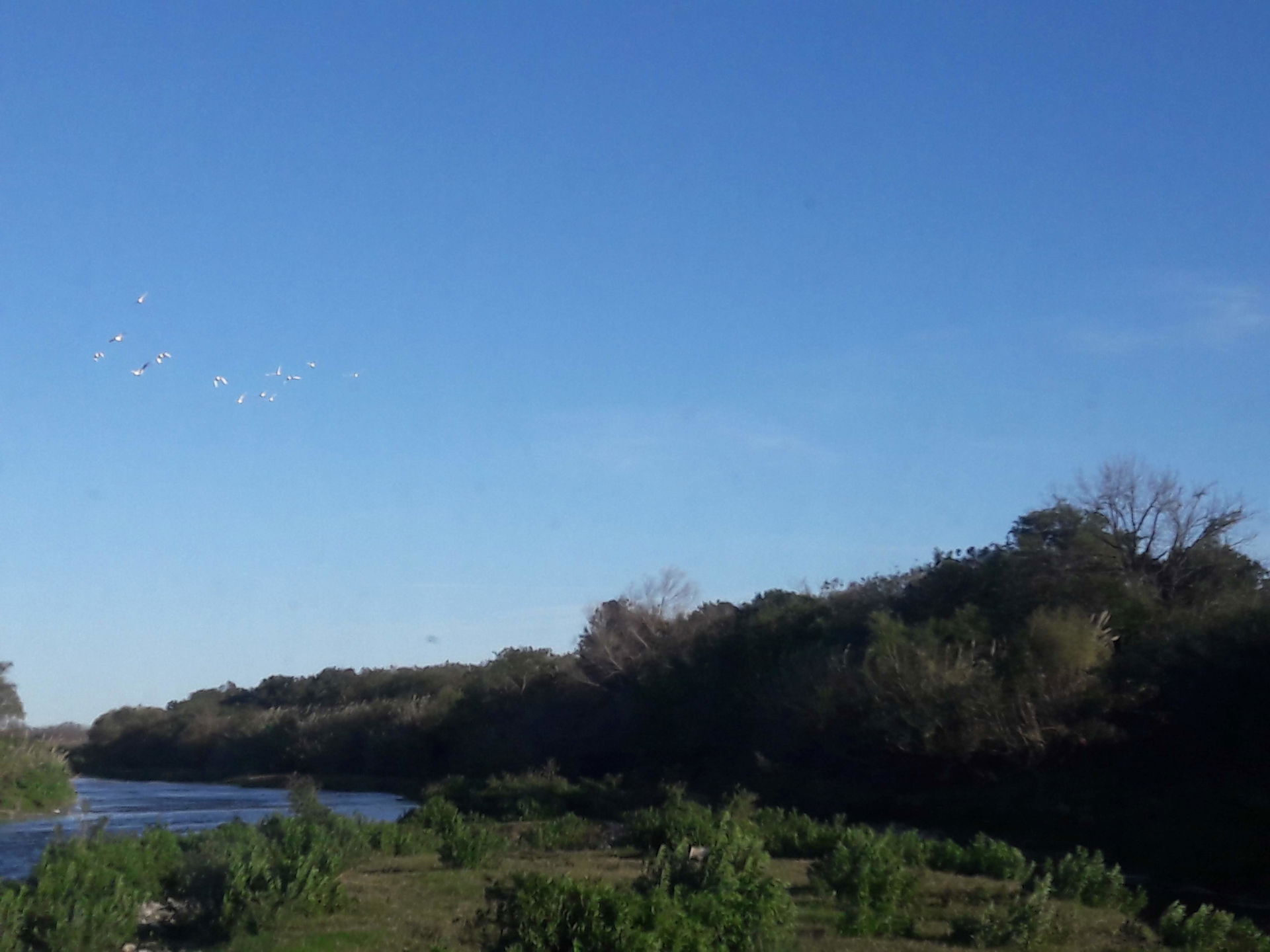 Pesquería River, from which the town Pesquería derives its name…