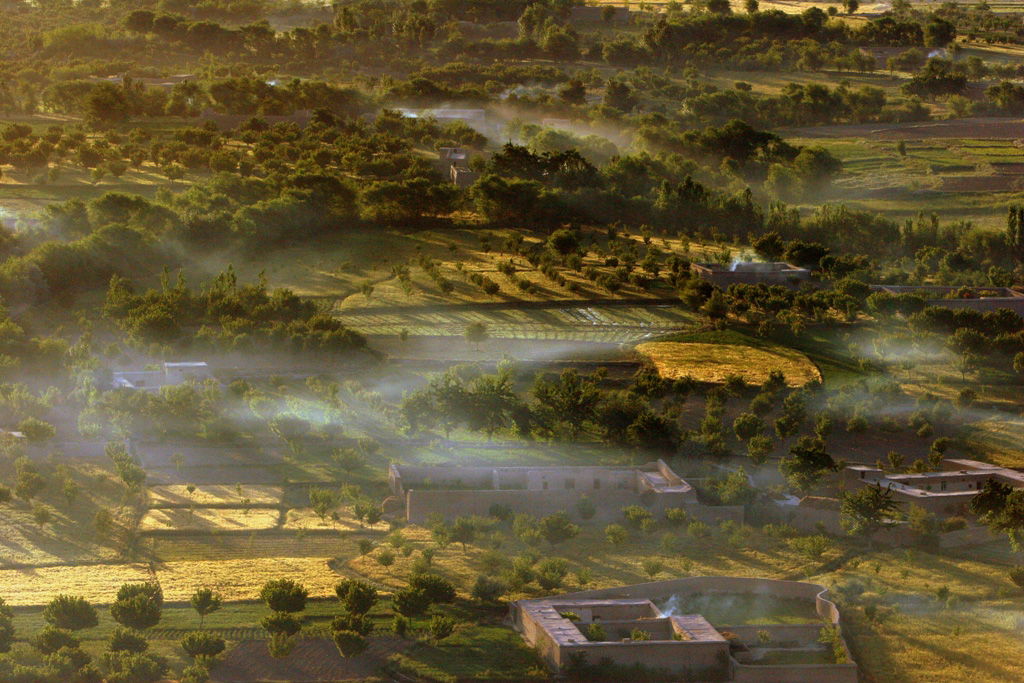 Smoke from early morning fires linger over wheat fields in Khas…