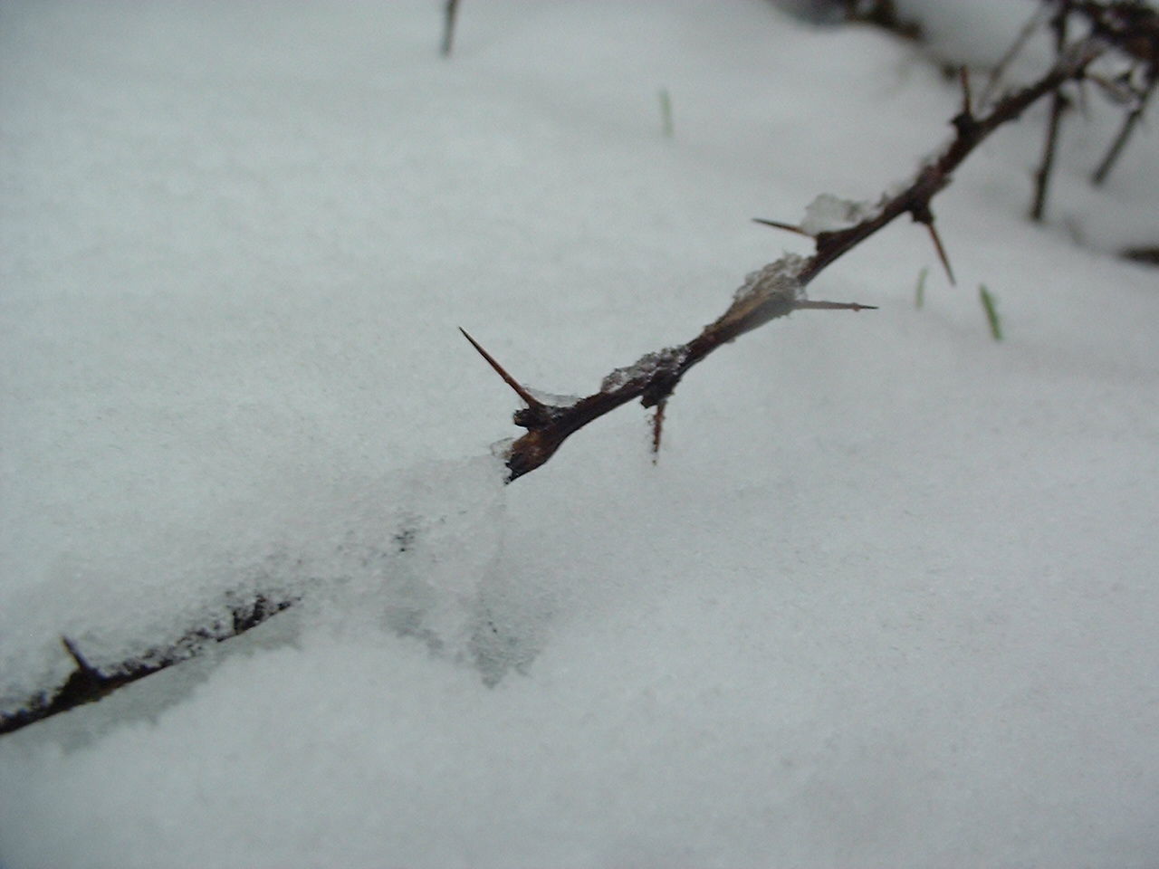 Mars 2005, neige à Montrouge