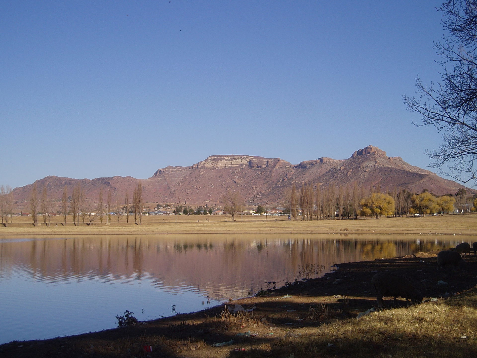 A view of Likhoele (elevation 6,915 feet), Mafeteng's second hi…
