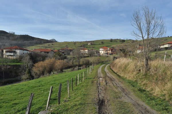 Aga