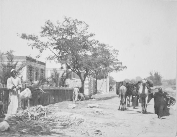 Minya