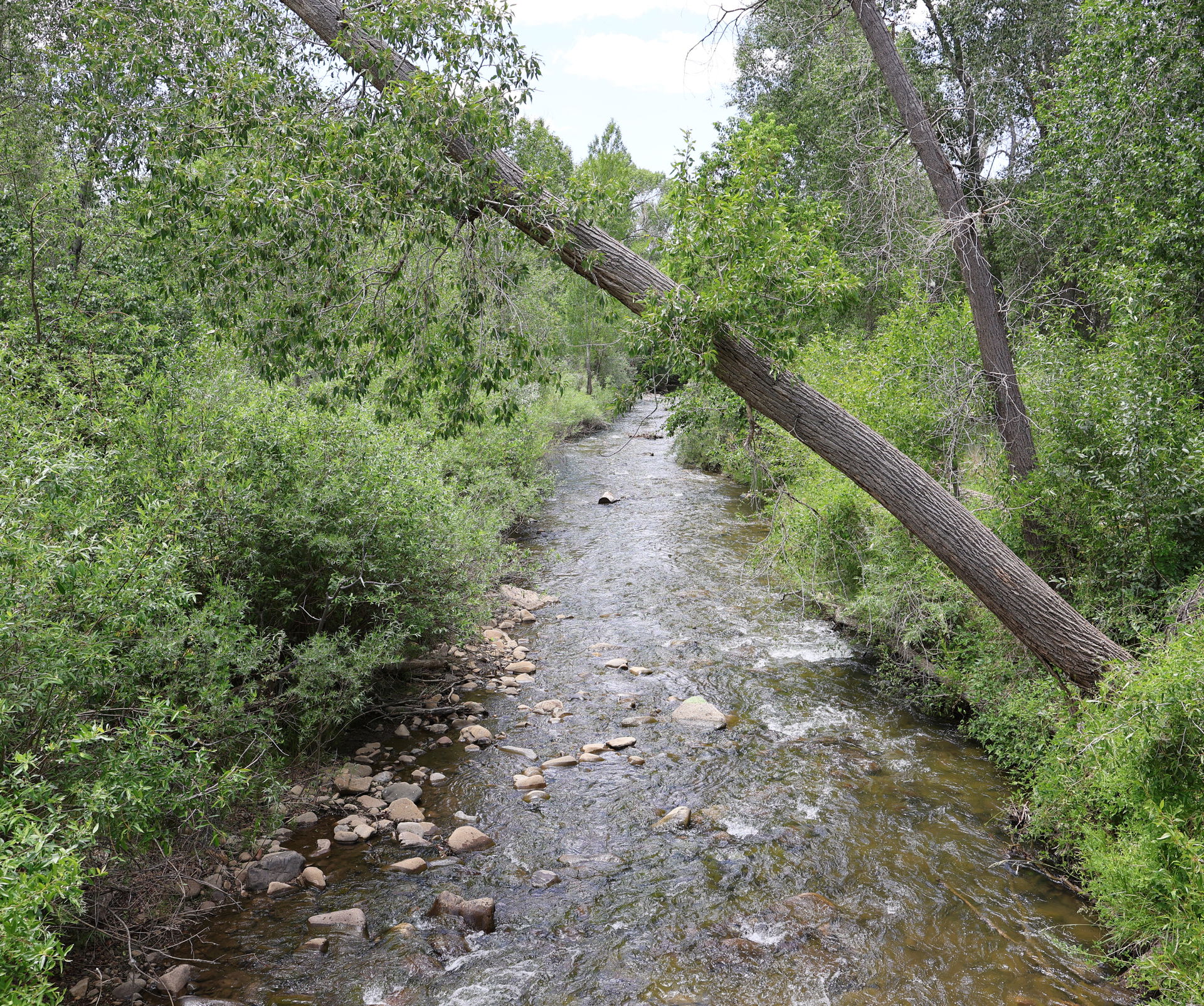 A view of the Mancos River in Mancos, Colorado, U.S. The view i…