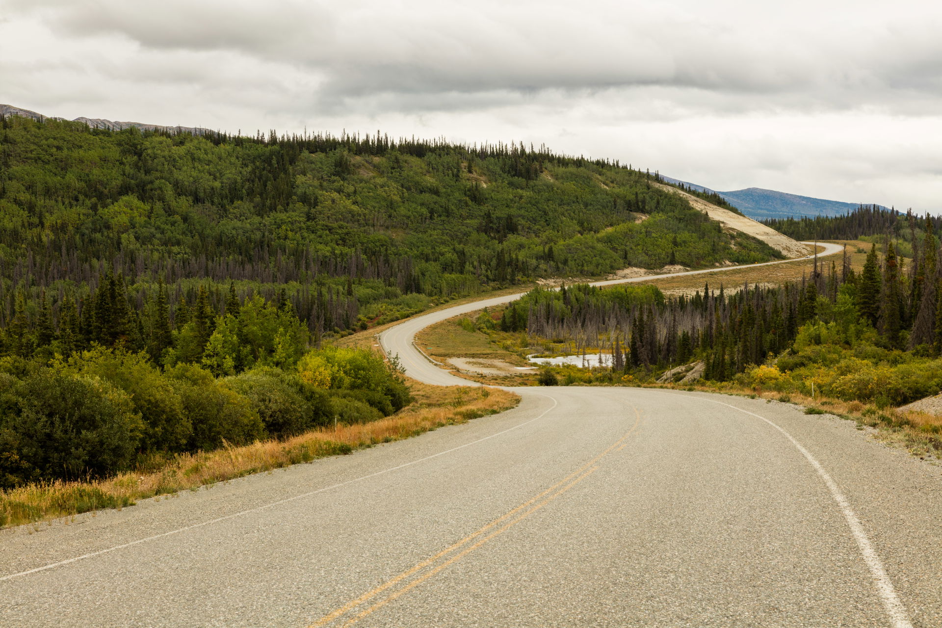 Landscape in Haines Junction, Yukon, Canada