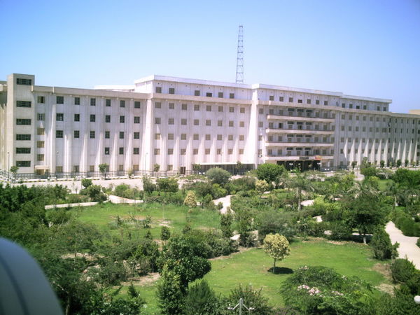 Banī Suwayf