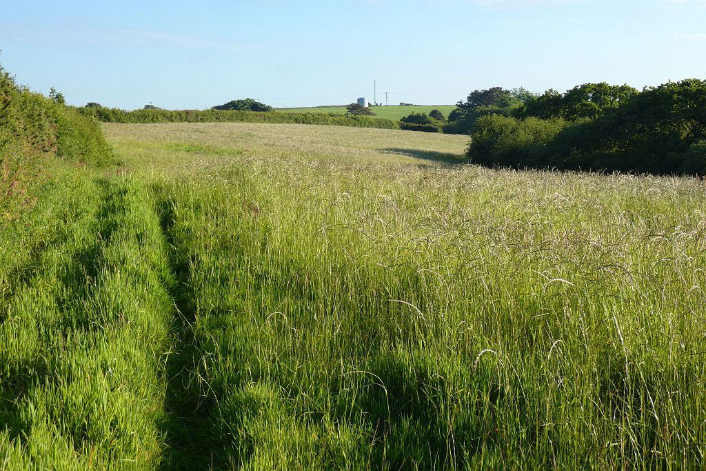 Farmland, Constantine