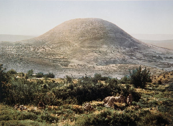 El-Tor