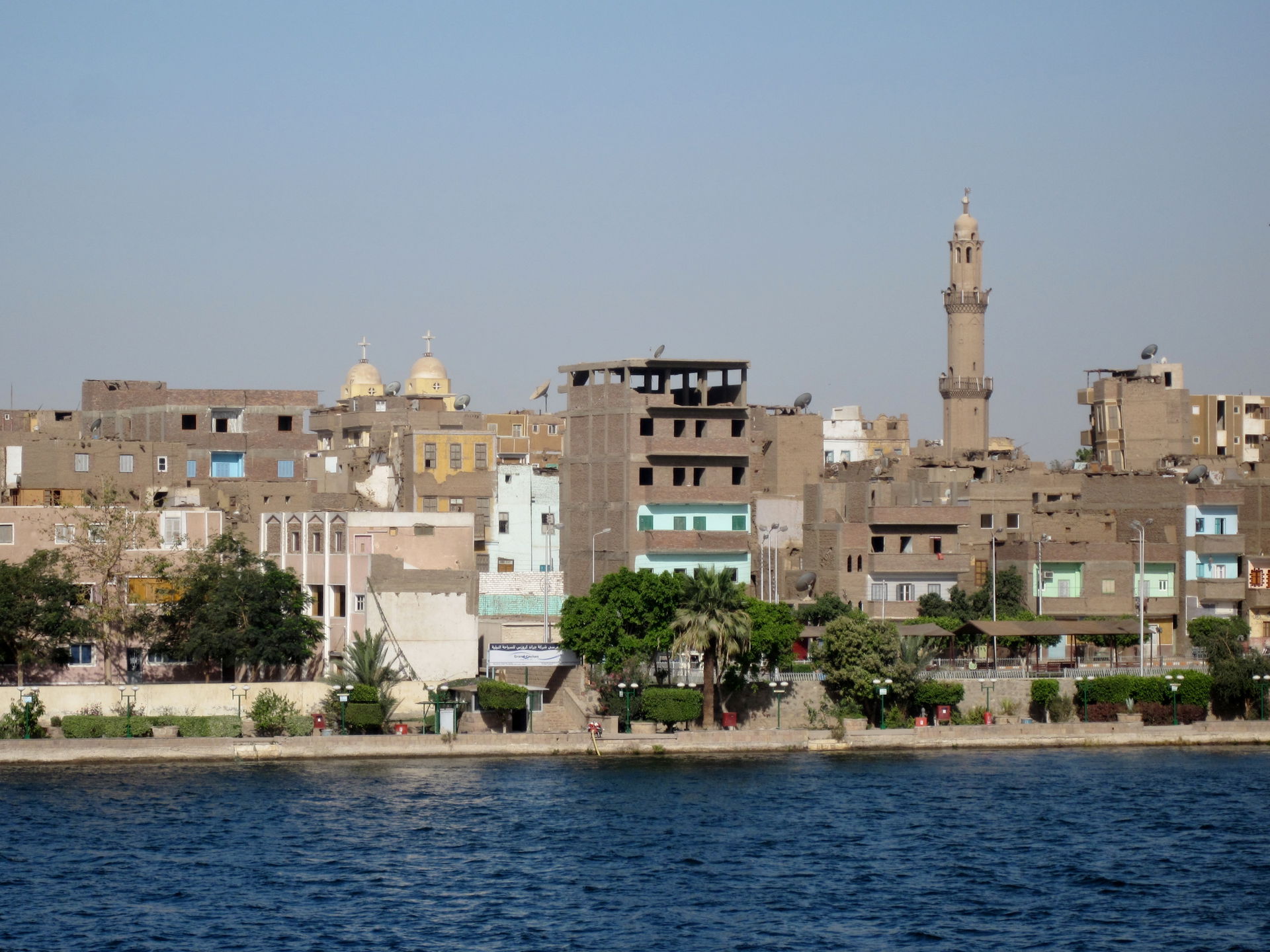 Nilufer in Esna, Ägypten