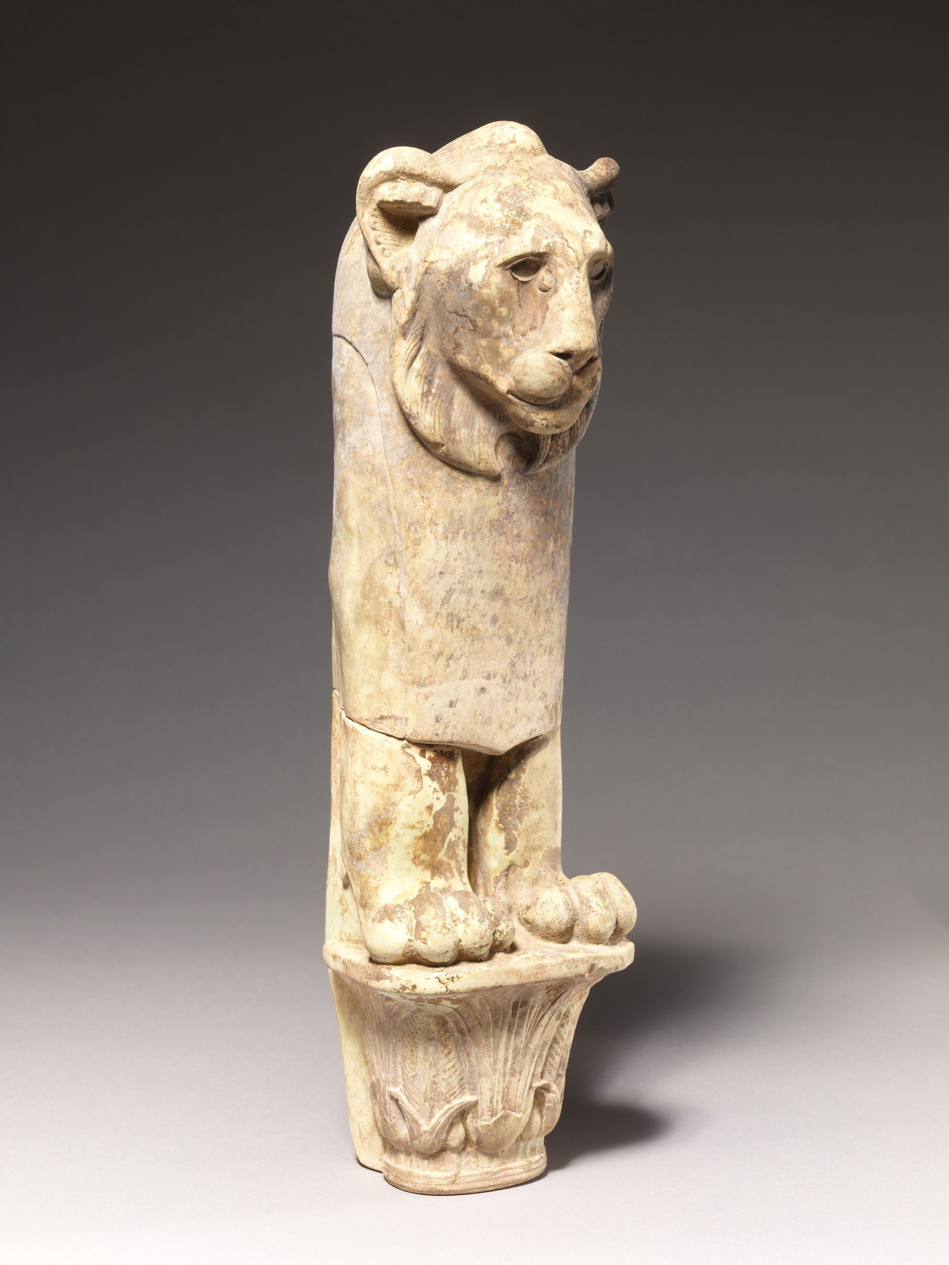 Furniture leg, lion