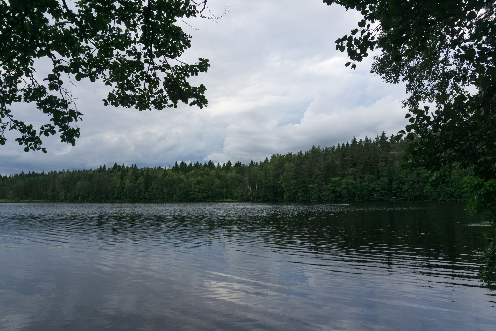 Lake Istok near Kanneljärvi