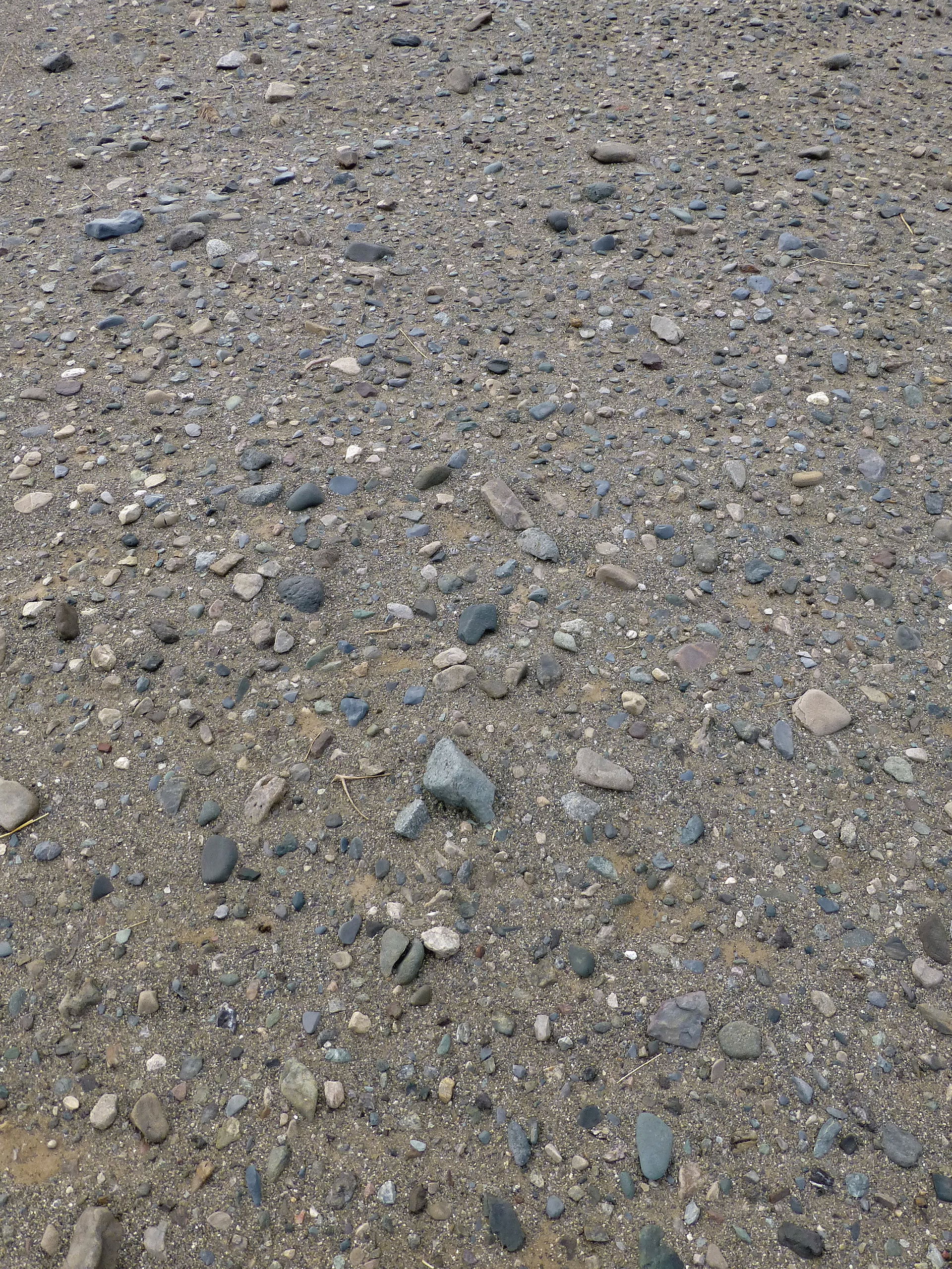 Sol caillouteux dans le Danakil (Ethiopie)