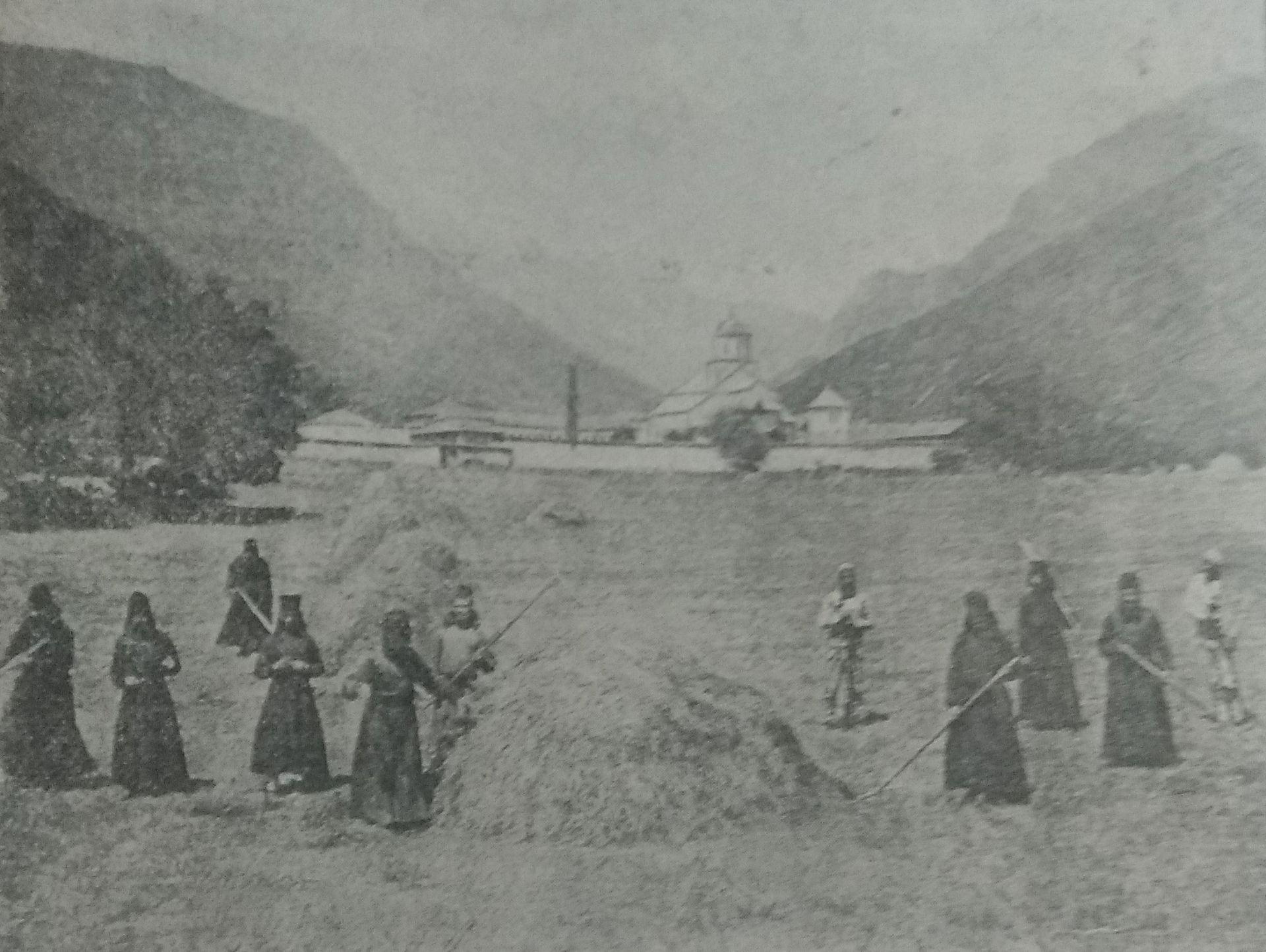 Work on the property of the Decani monastery.
