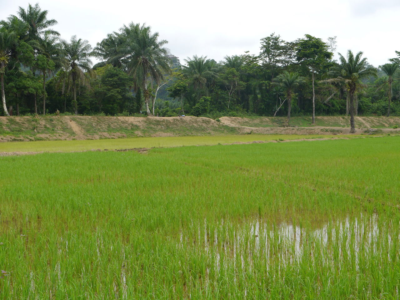 Ganta, Liberia