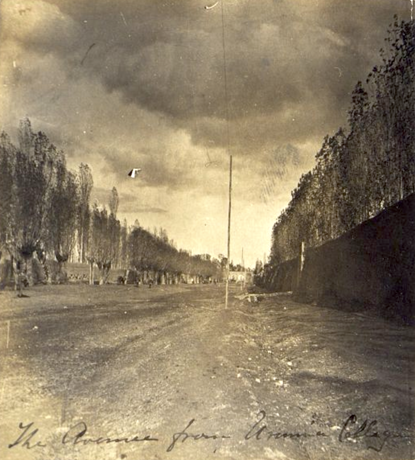"The avenue from Urmia College", circa 1900