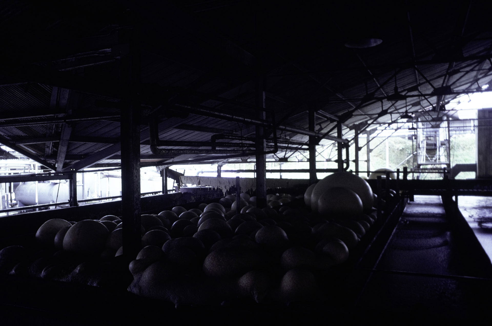 The Firestone rubber plantation. Interior of the latex factory.…