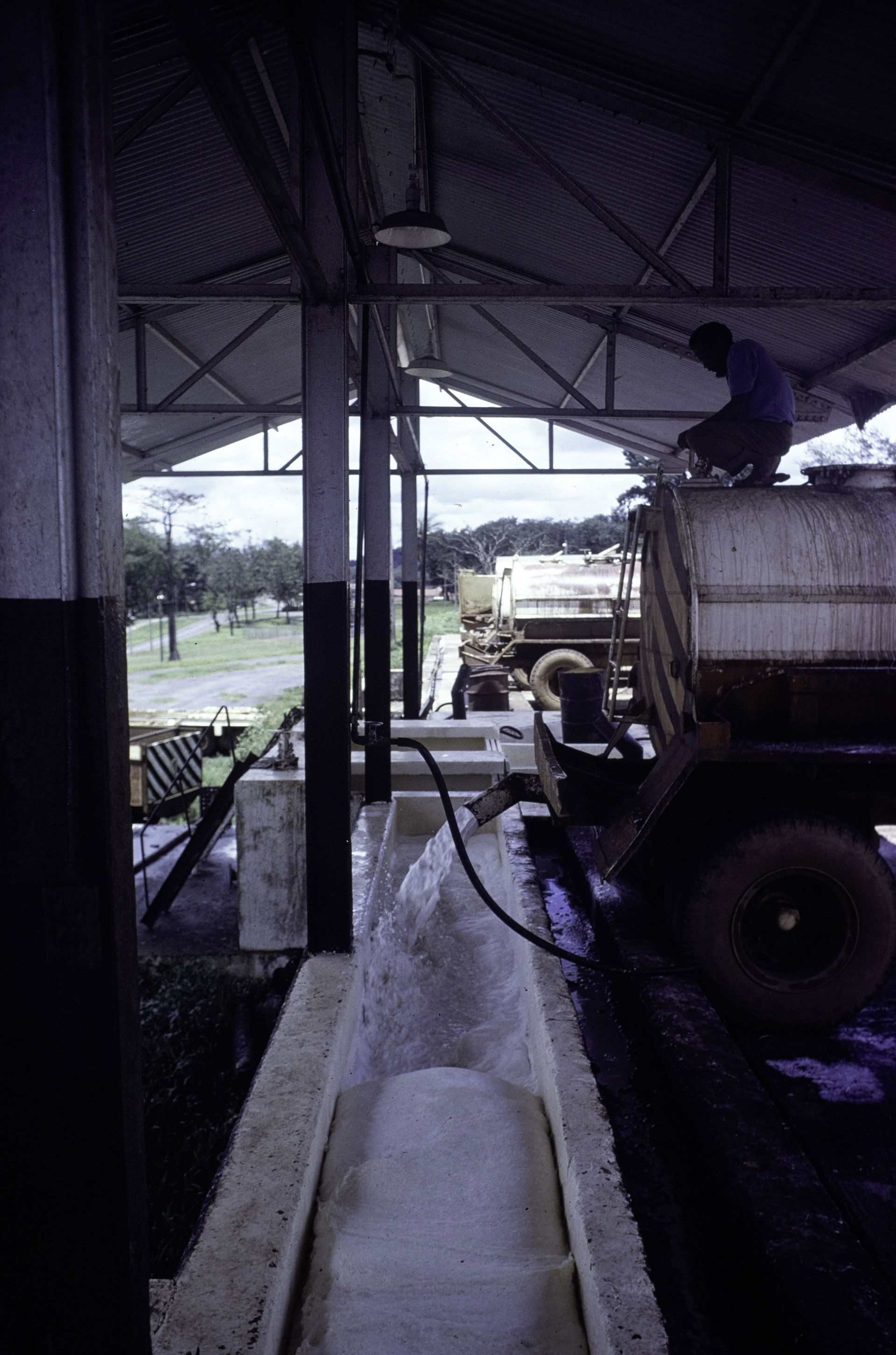 The Firestone rubber plantation. Interior of the latex factory.…