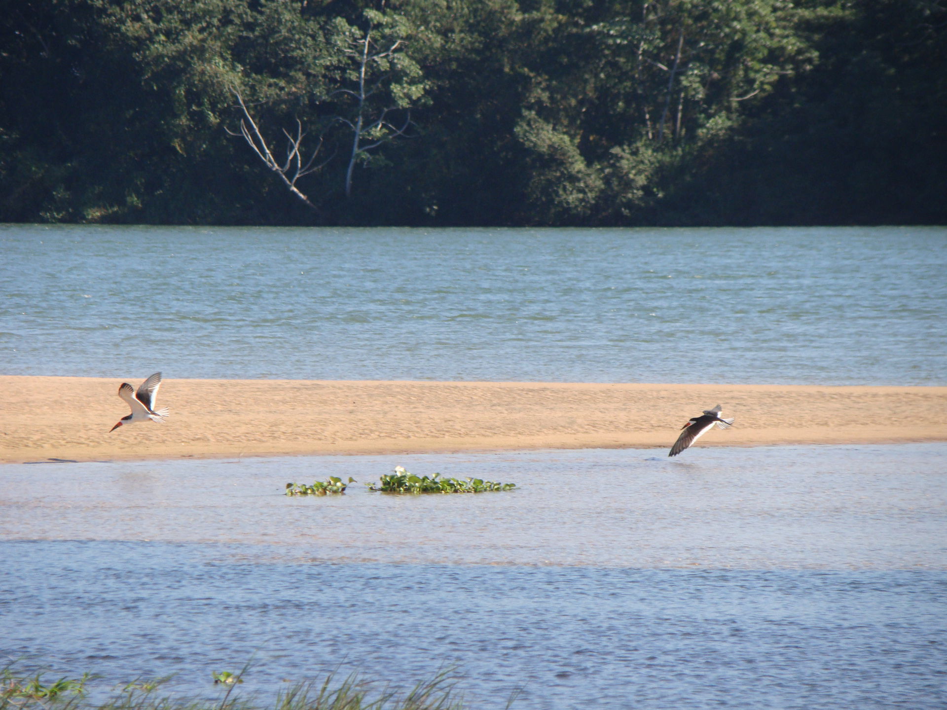 Praia no Parque Nacional de Ilha Grande