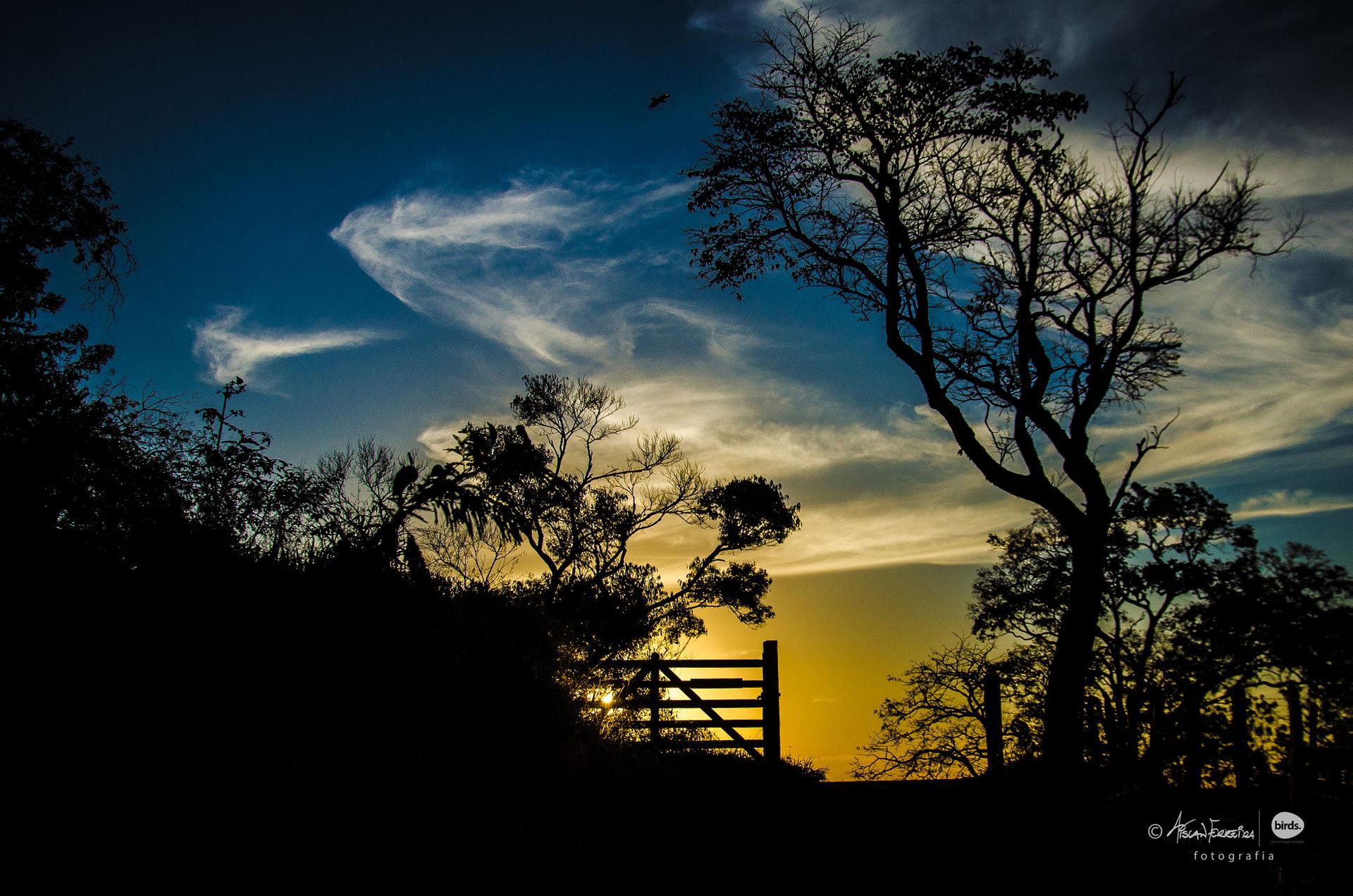 500px provided description: Foto tirada na regi?o da serra da m…