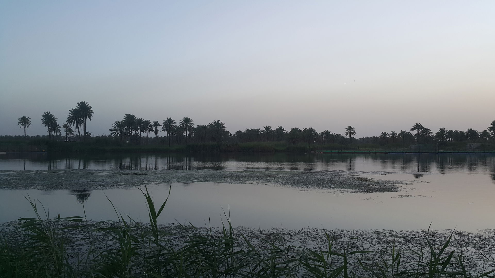 نهر الفرات وهو يمر بمحافظة بابل قرب قضاء المسيب