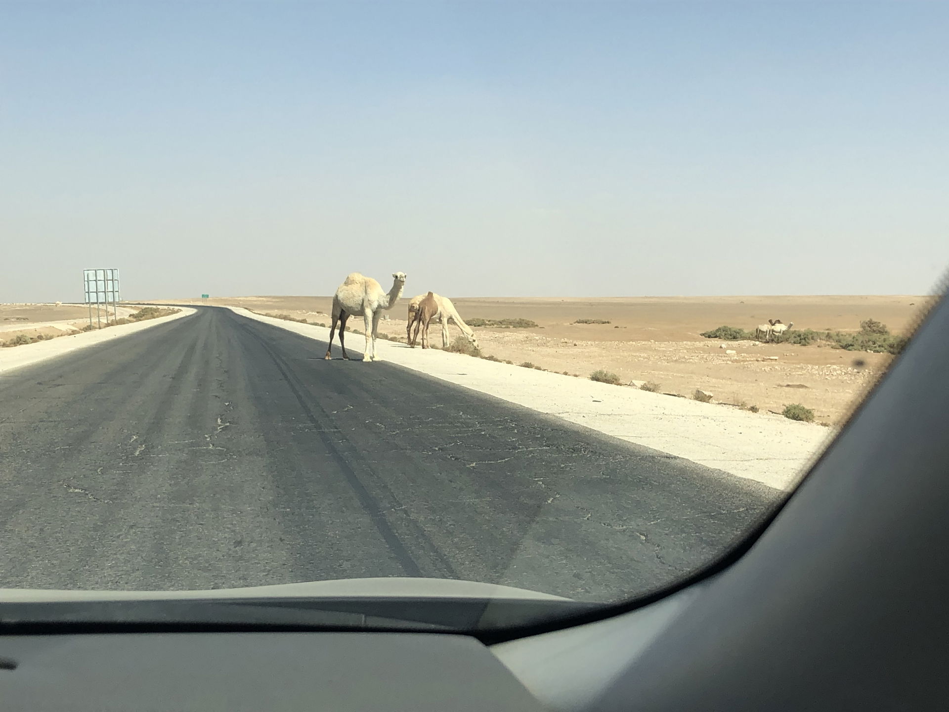 Desert road near al-Jafr